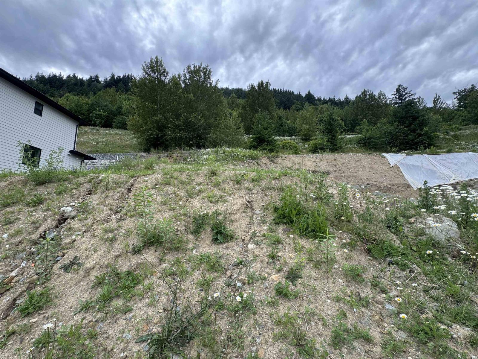36473 Estevan Court, Abbotsford, British Columbia  V3G 0B6 - Photo 9 - R3136368