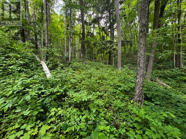 8840 9 County Road, Clearview, Ontario  L0M 1G0 - Photo 10 - S13454370