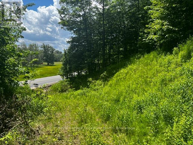 8840 9 County Road, Clearview, Ontario  L0M 1G0 - Photo 13 - S13454370