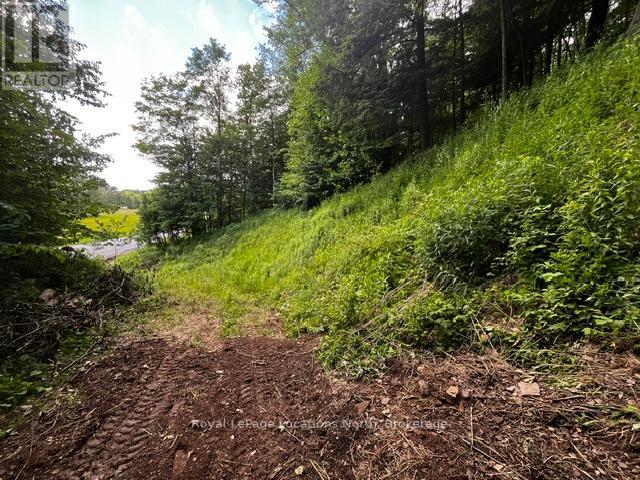 8840 9 County Road, Clearview, Ontario  L0M 1G0 - Photo 2 - S13454370