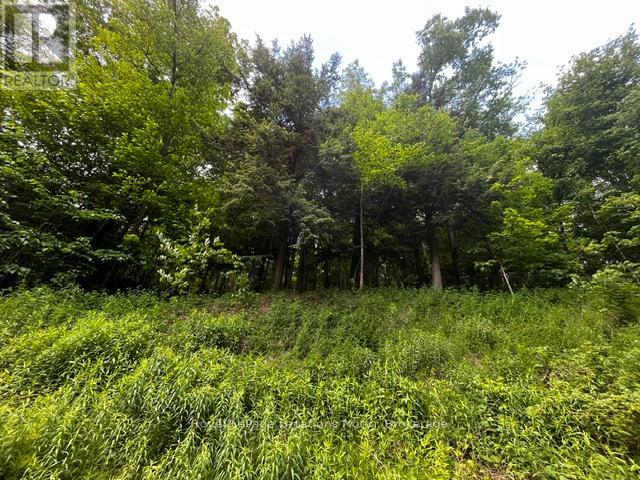 8840 9 County Road, Clearview, Ontario  L0M 1G0 - Photo 3 - S13454370