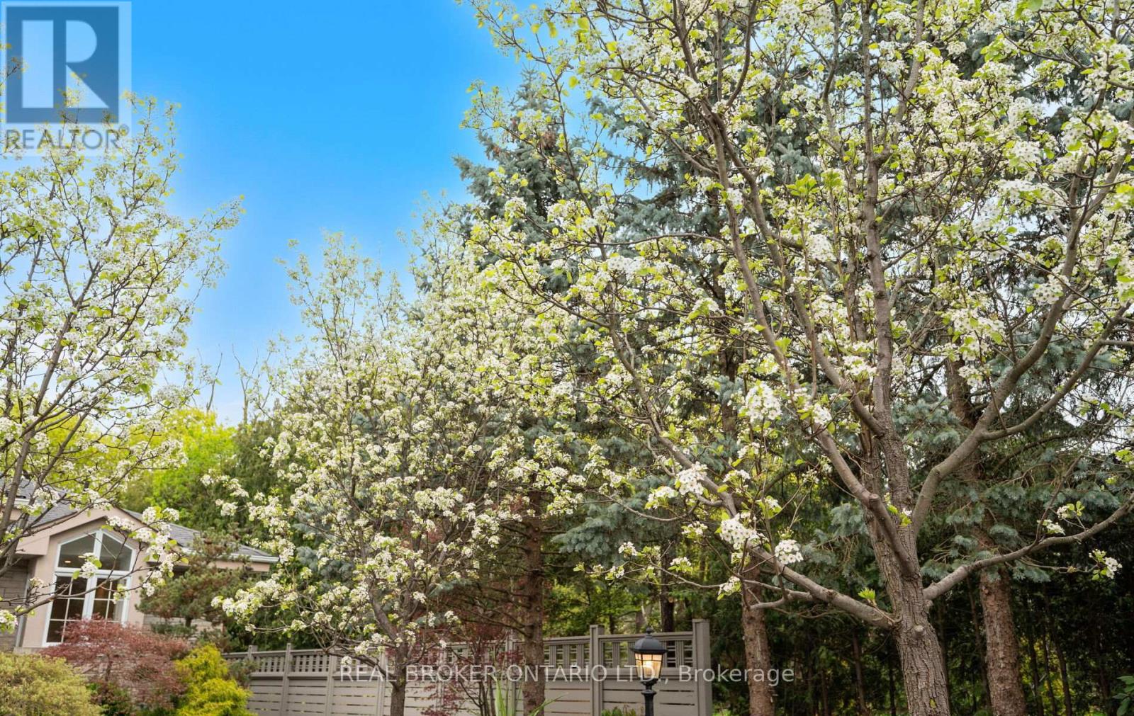 37 Lorraine Gardens, Toronto, Ontario  M9B 4Z5 - Photo 7 - W13094428