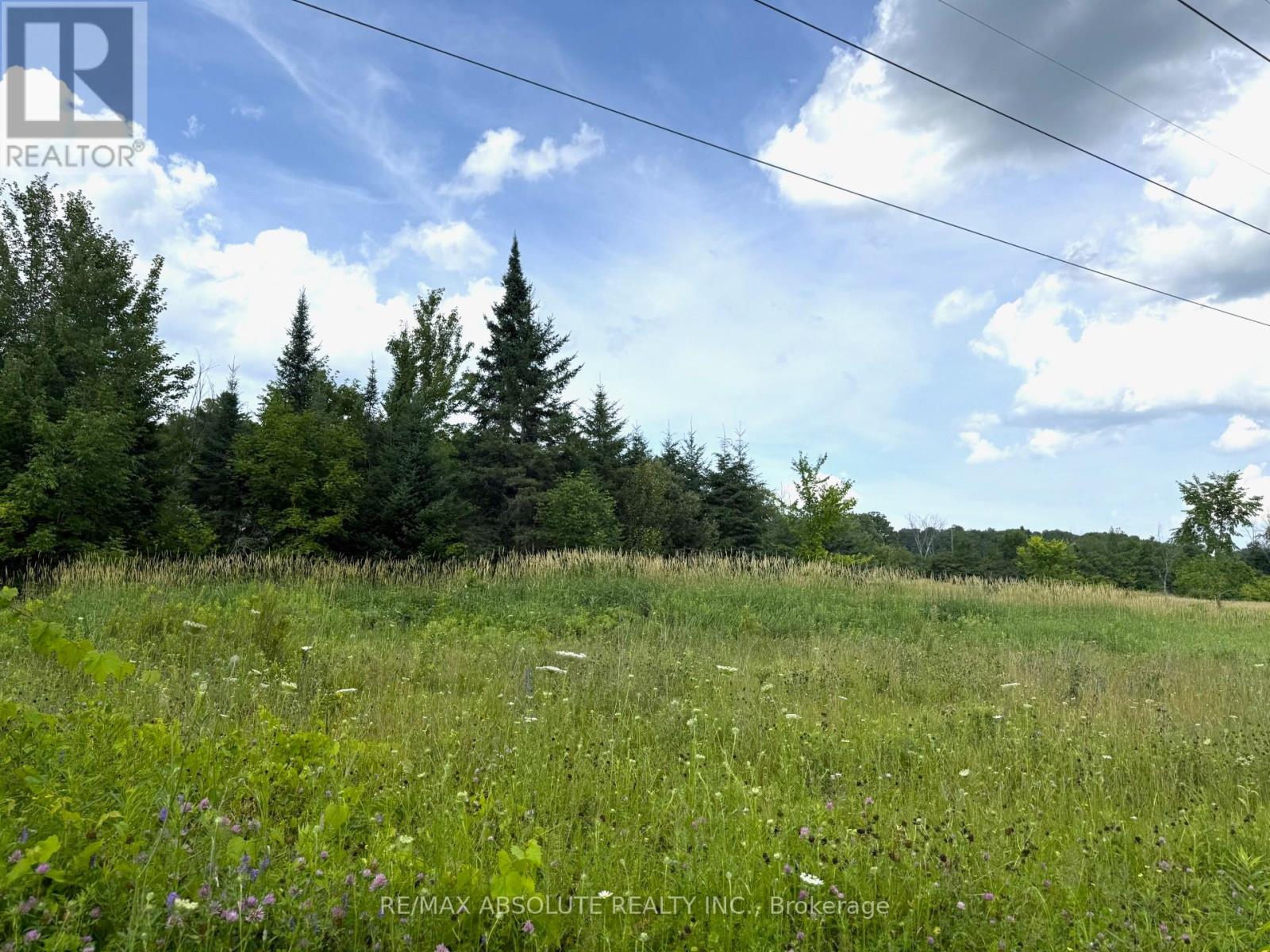 702 Part 13 Flat Rapids Road, Mcnab/braeside, Ontario K7S 3G8 - Photo 4 - X13454520