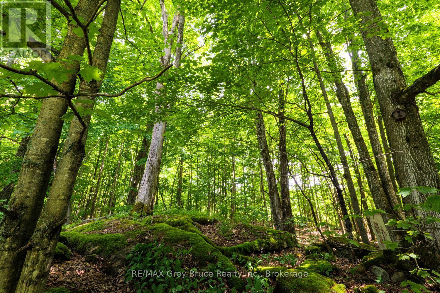 108 Coveney's Road, South Bruce Peninsula, Ontario  N0H 2T0 - Photo 18 - X13454500