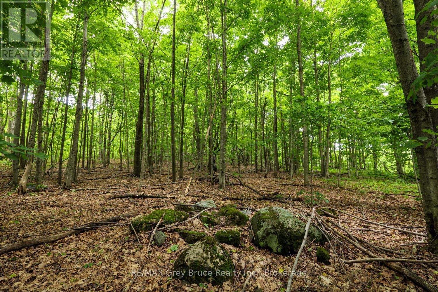 108 Coveney's Road, South Bruce Peninsula, Ontario  N0H 2T0 - Photo 20 - X13454500