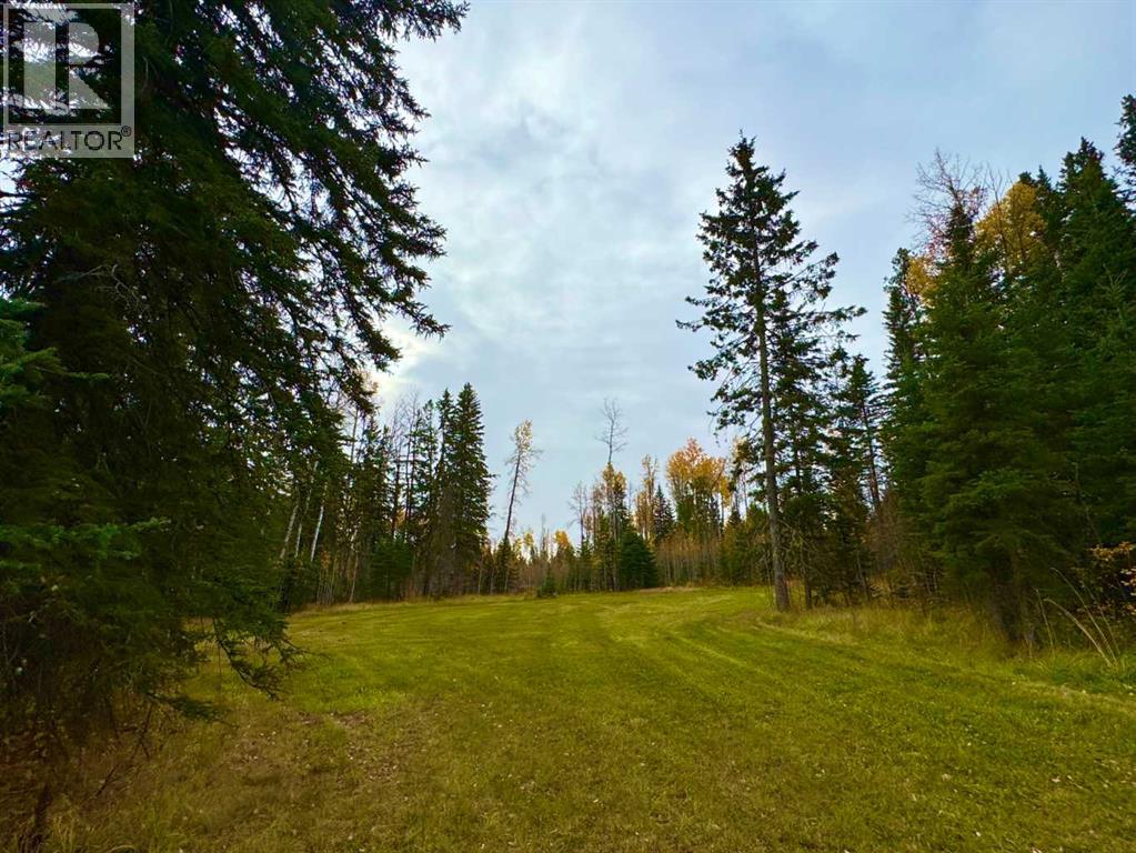 119 Meadow Ponds Drive, Rural Clearwater County, Alberta  T4T 1A7 - Photo 5 - A2264700