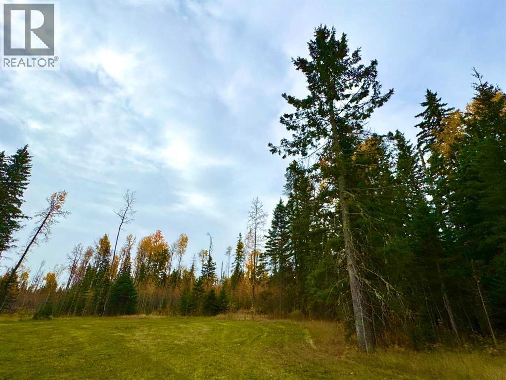 119 Meadow Ponds Drive, Rural Clearwater County, Alberta  T4T 1A7 - Photo 4 - A2264700