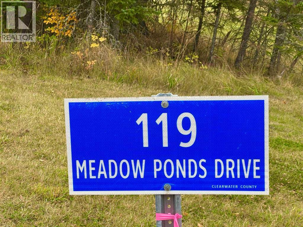 119 Meadow Ponds Drive, Rural Clearwater County, Alberta  T4T 1A7 - Photo 9 - A2264700