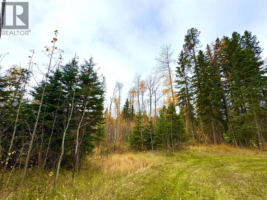 119 Meadow Ponds Drive, Rural Clearwater County, Alberta  T4T 1A7 - Photo 1 - A2264700