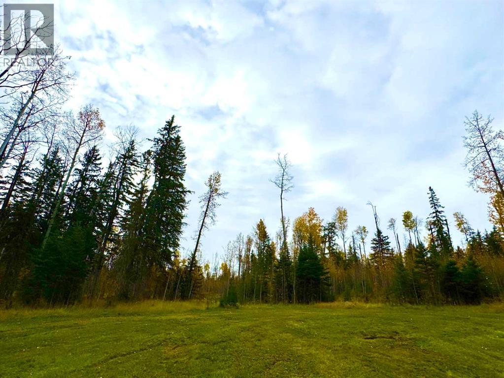 119 Meadow Ponds Drive, Rural Clearwater County, Alberta  T4T 1A7 - Photo 3 - A2264700