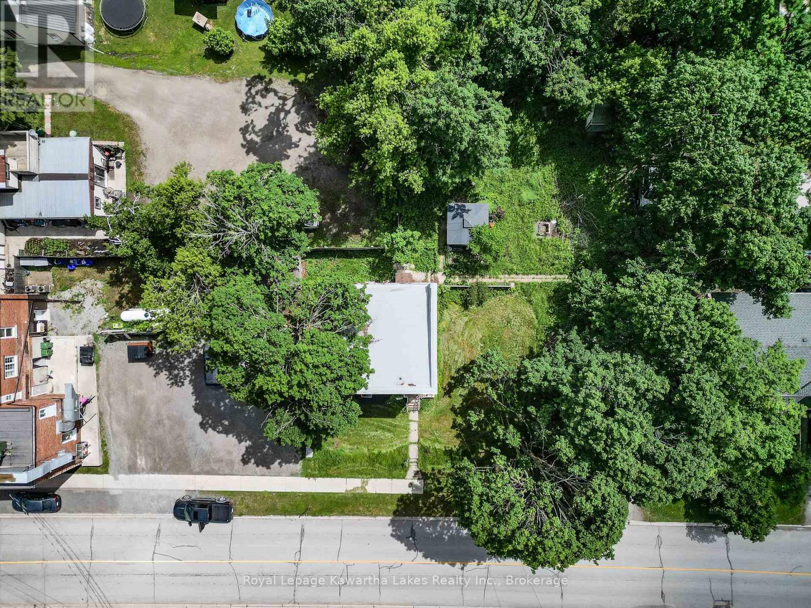 119 Agnes Street, Kawartha Lakes, Ontario  K0M 2T0 - Photo 39 - X13454574