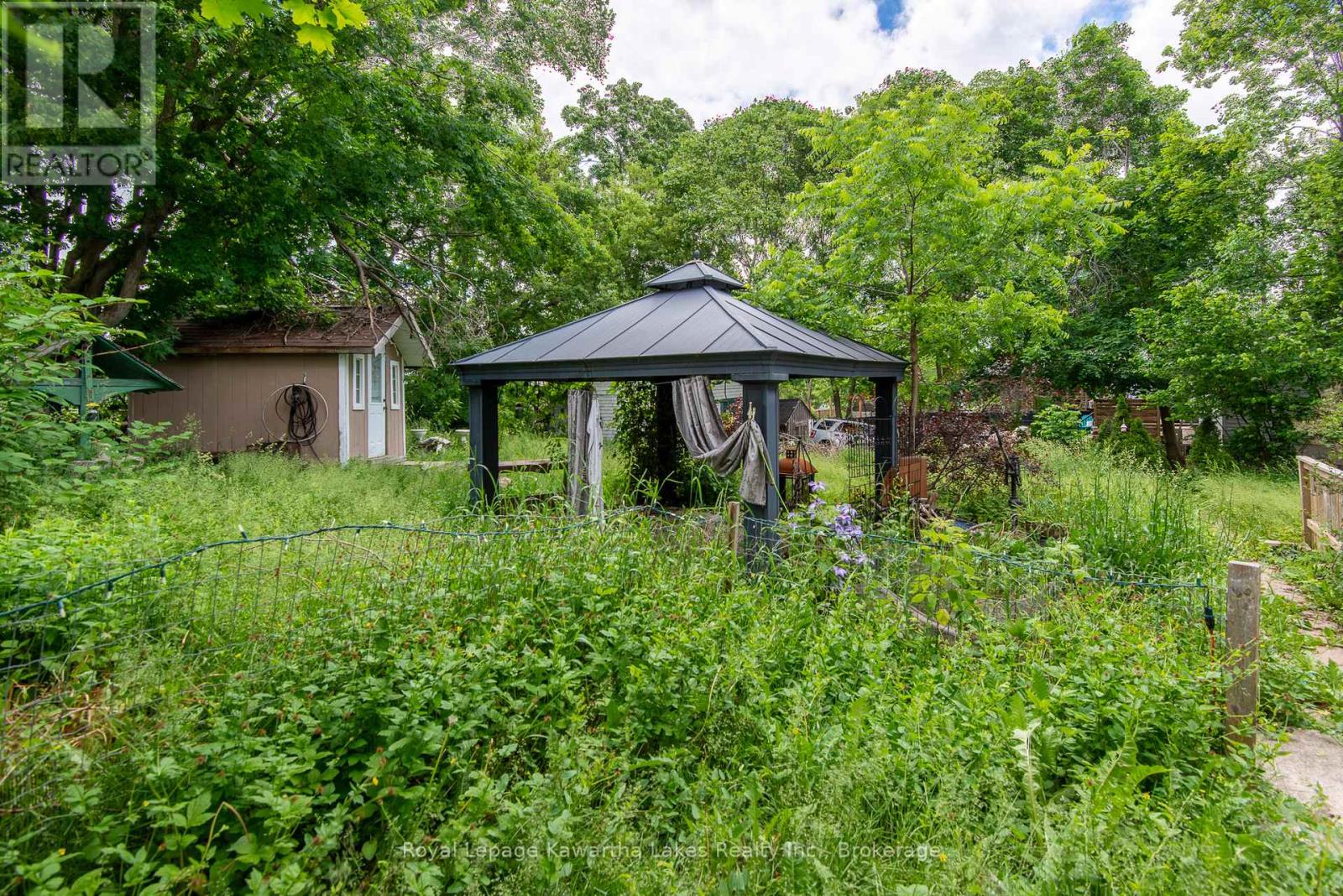 119 Agnes Street, Kawartha Lakes, Ontario  K0M 2T0 - Photo 6 - X13454574