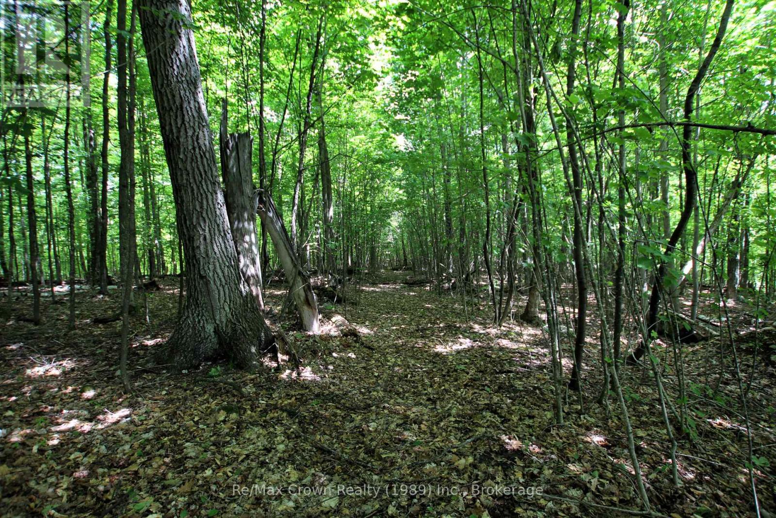 1052 Limberlost Point Road, Parry Sound Remote Area, Ontario  P0H 2R0 - Photo 28 - X13454594