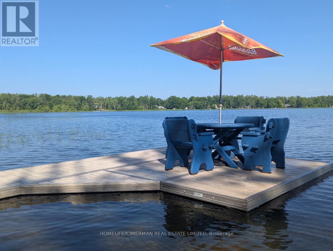 98 Mcleish Drive, Kawartha Lakes, Ontario  L0K 1W0 - Photo 18 - X12859700