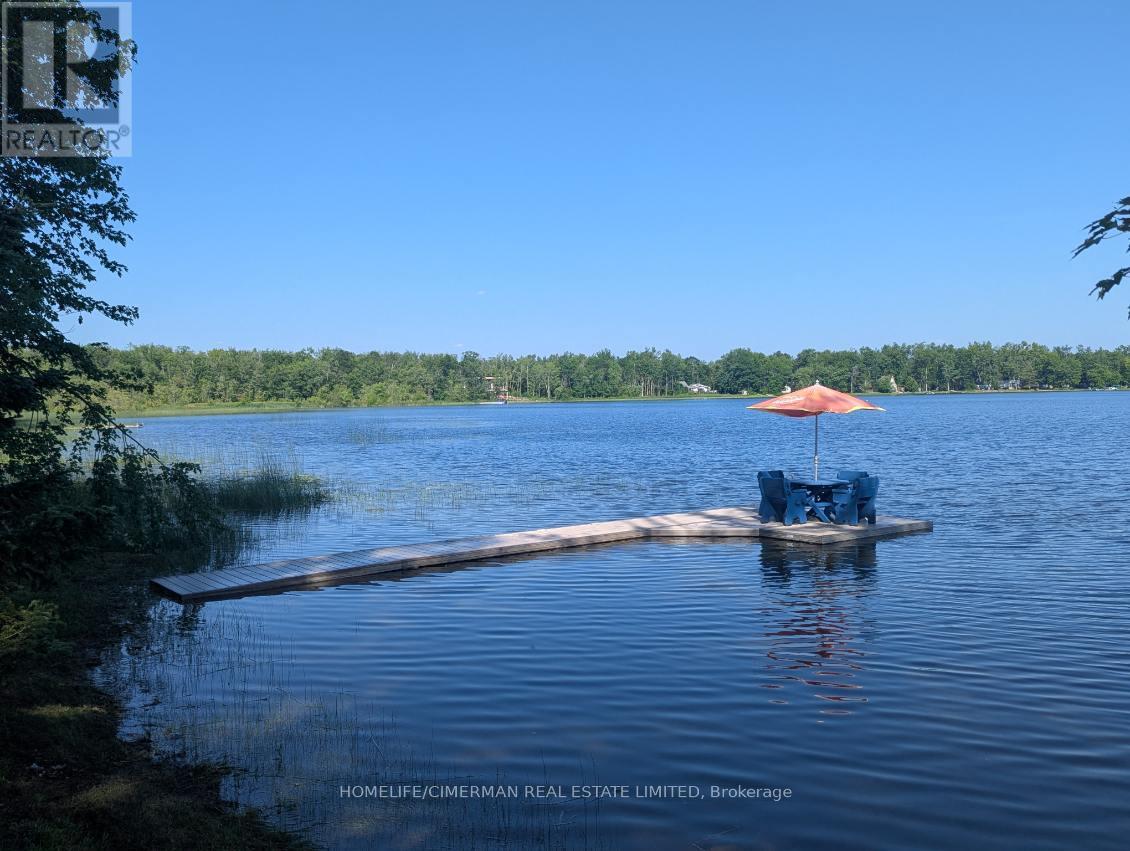 98 Mcleish Drive, Kawartha Lakes, Ontario  L0K 1W0 - Photo 19 - X12859700