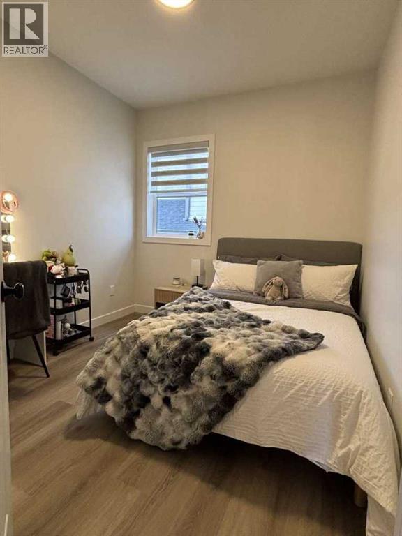 4434 53 Street, Rocky Mountain House, Alberta  T4T 0C3 - Photo 11 - A2310189