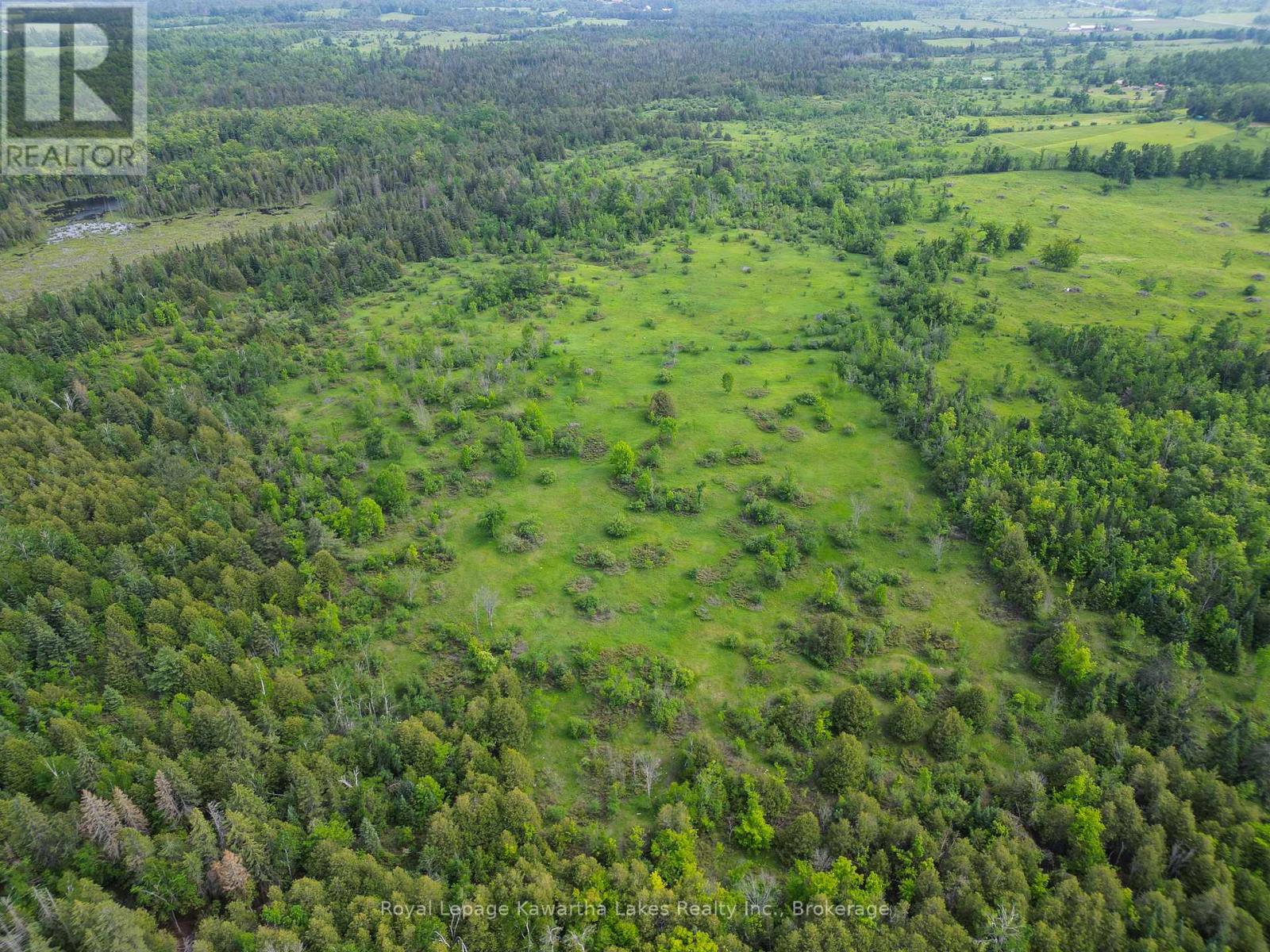 Lt 32 Rosco Lane, Kawartha Lakes, Ontario  K0M 1N0 - Photo 7 - X13454630