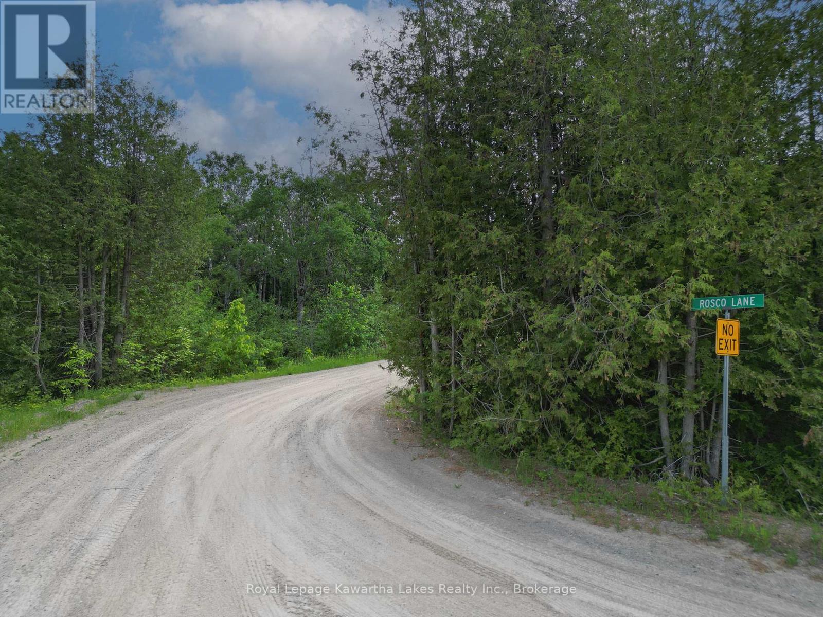 Lt 32 Rosco Lane, Kawartha Lakes, Ontario  K0M 1N0 - Photo 9 - X13454630