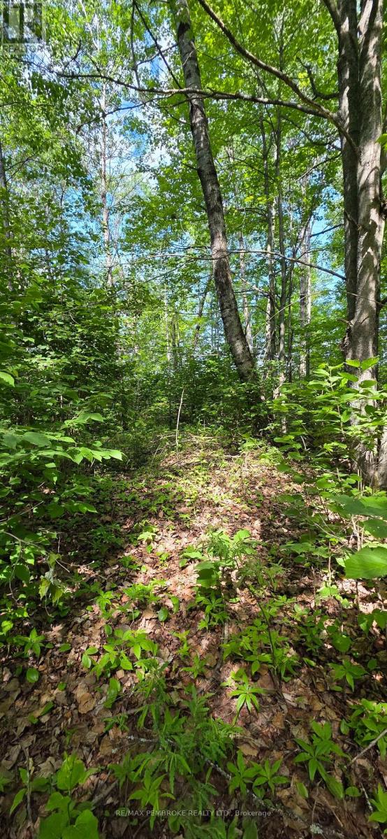 Pt Lt 5 Baggs Road, Laurentian Hills, Ontario  K0J 1J0 - Photo 8 - X13453902