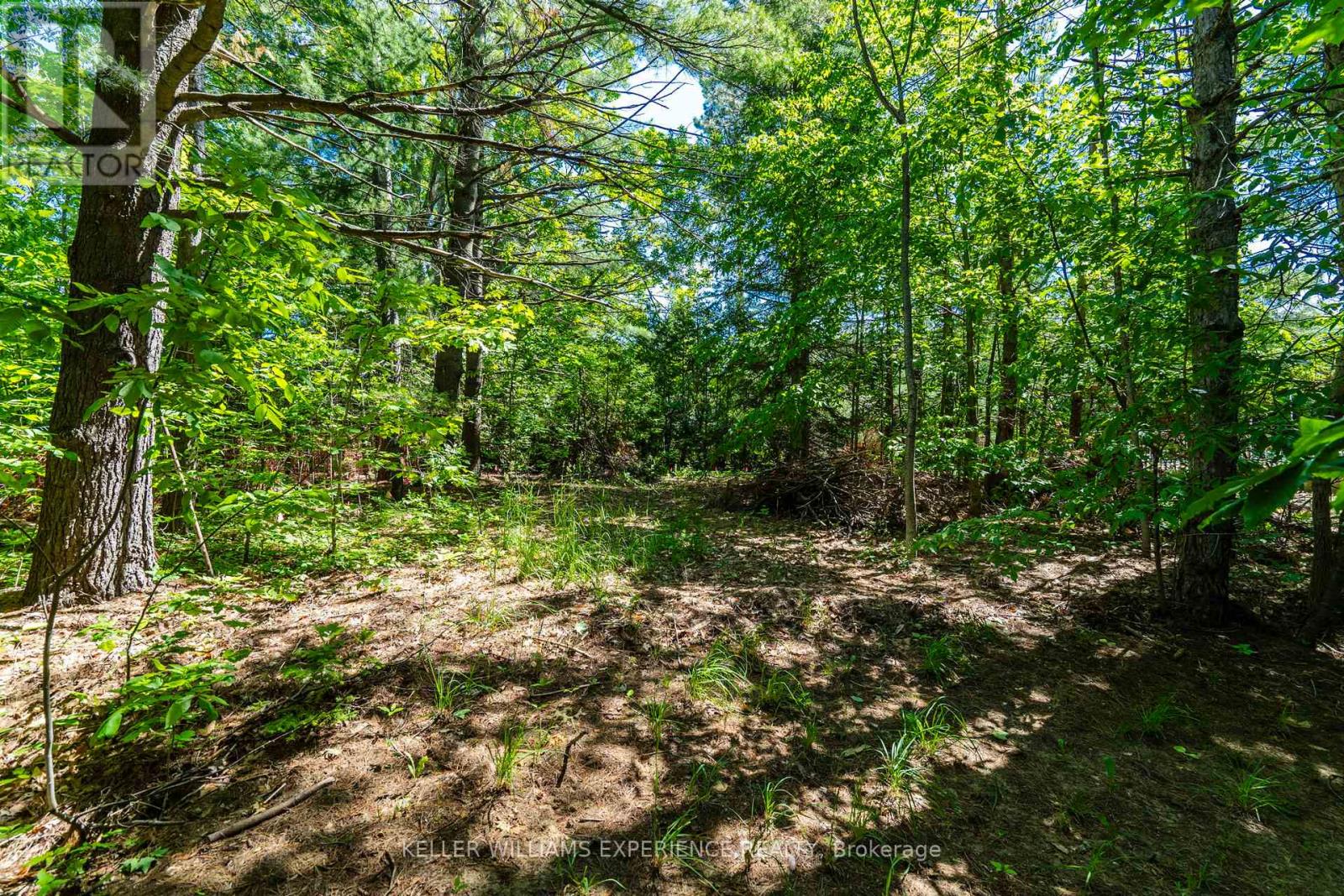 2 Greenshields Crescent, Oro-Medonte, Ontario  L0L 1T0 - Photo 9 - S13454698