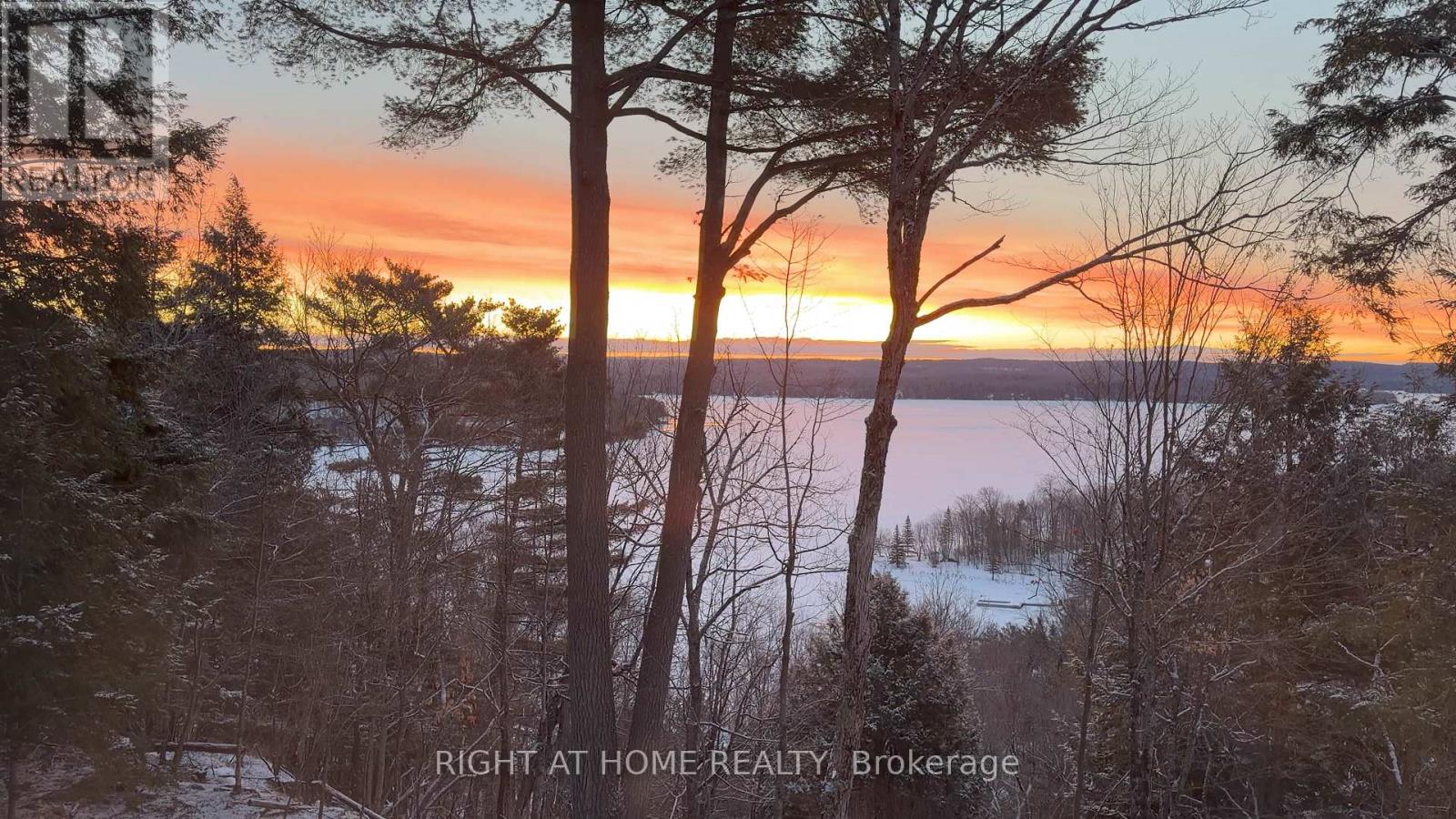 202 - 13 Tree Tops Lane, Huntsville, Ontario  P1H 1B3 - Photo 5 - X13454748
