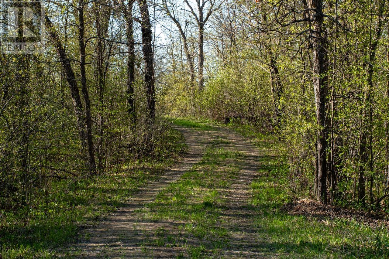 Lot 3 Ivall Drive, Lake Of The Woods - Unorganized, Ontario  P0W 1L0 - Photo 13 - TB2601552