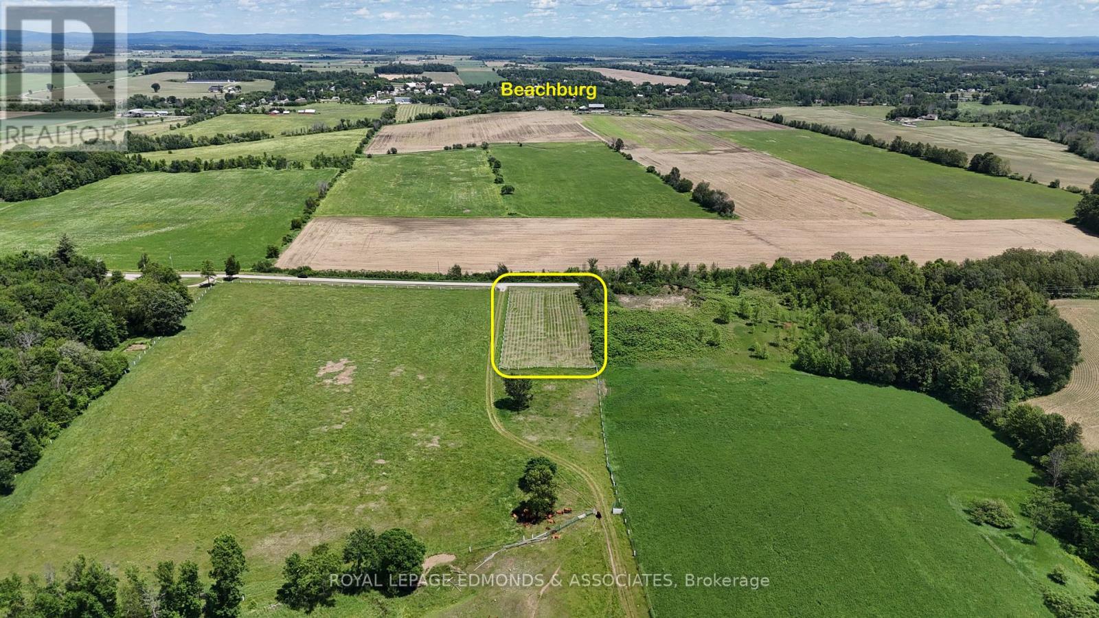 126 Davidson Road, Whitewater Region, Ontario K0J 1C0 - Photo 12 - X13455050