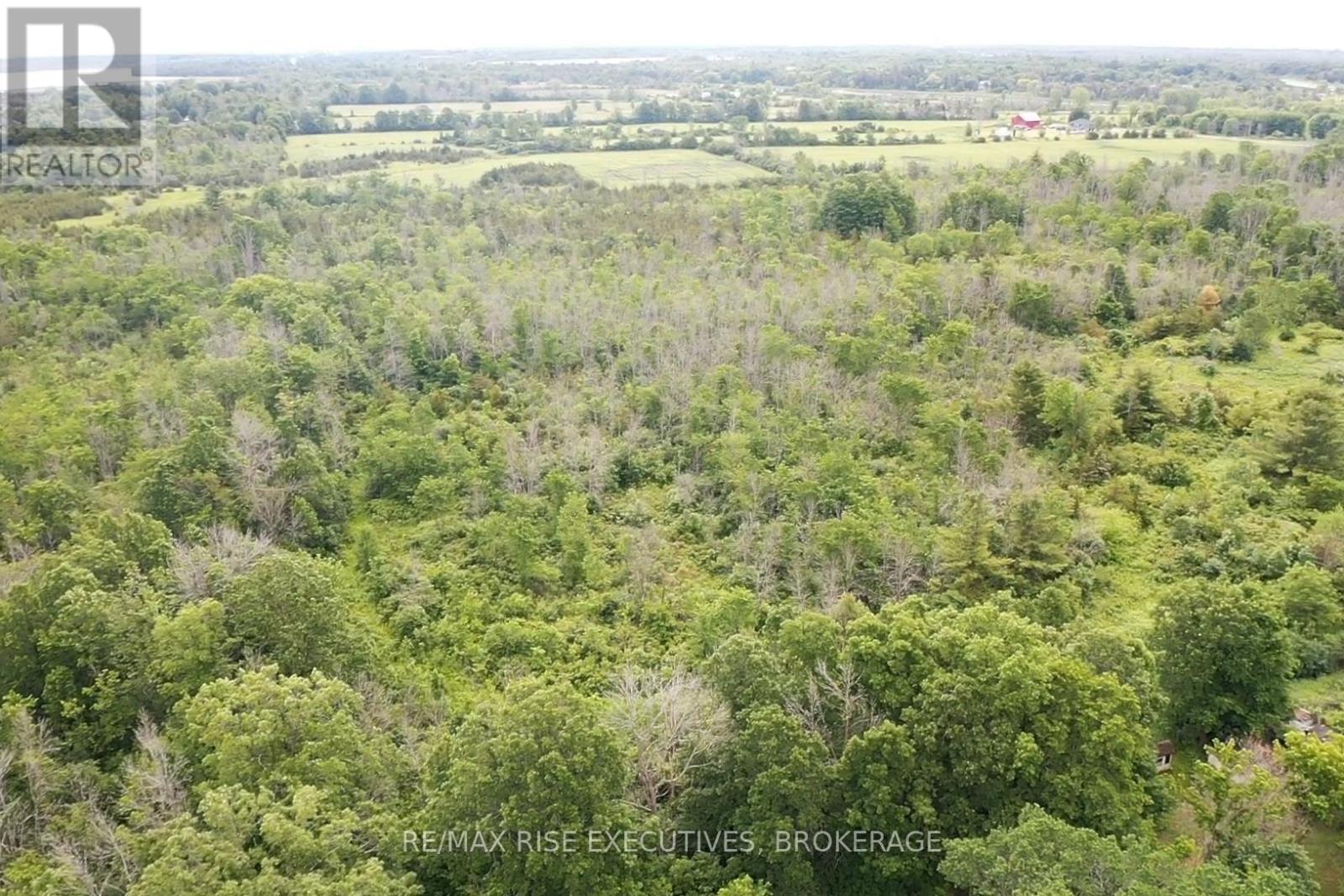 1337 Old Wilton Road, Loyalist, Ontario  K0H 2H0 - Photo 11 - X13452228
