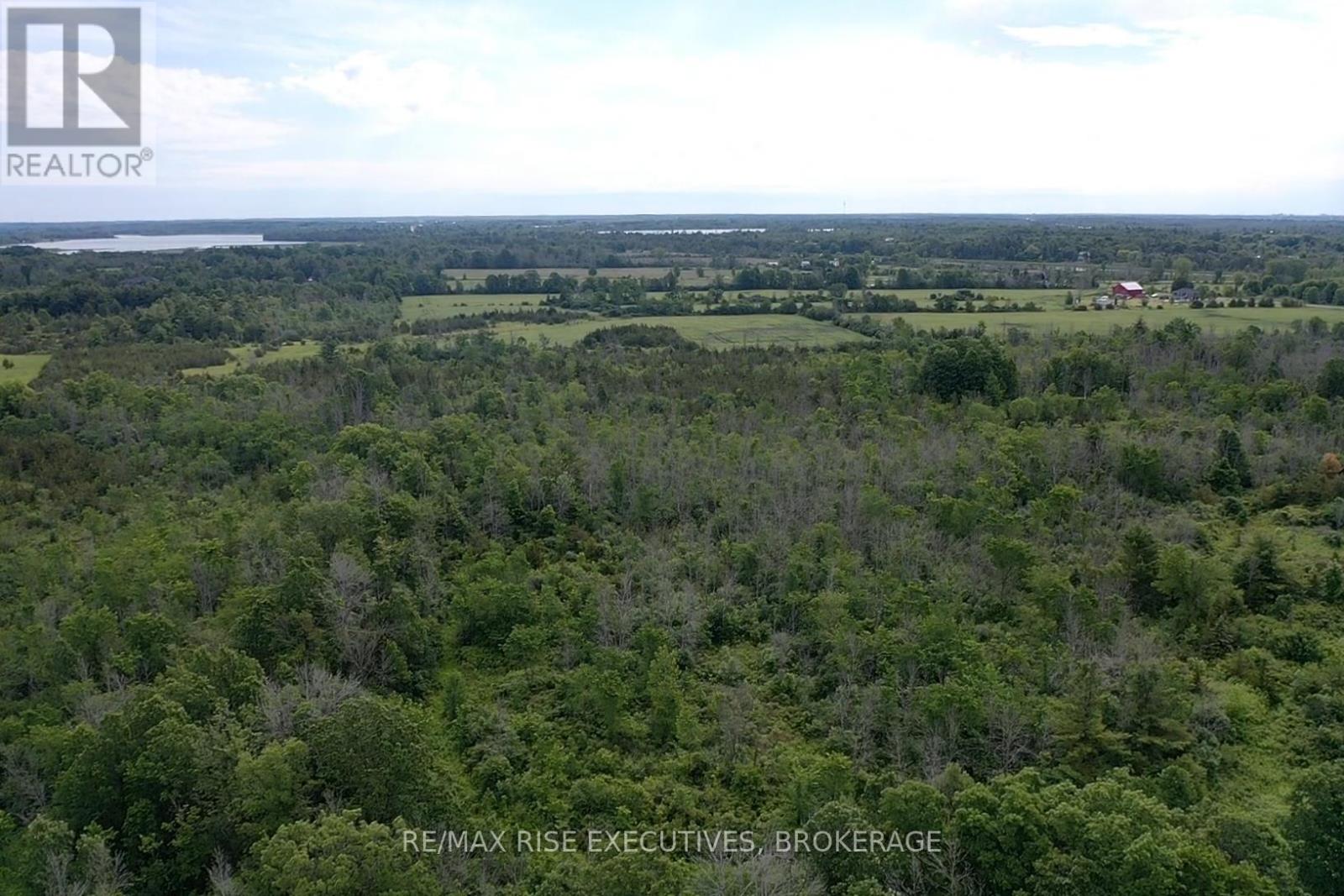 1337 Old Wilton Road, Loyalist, Ontario  K0H 2H0 - Photo 8 - X13452228