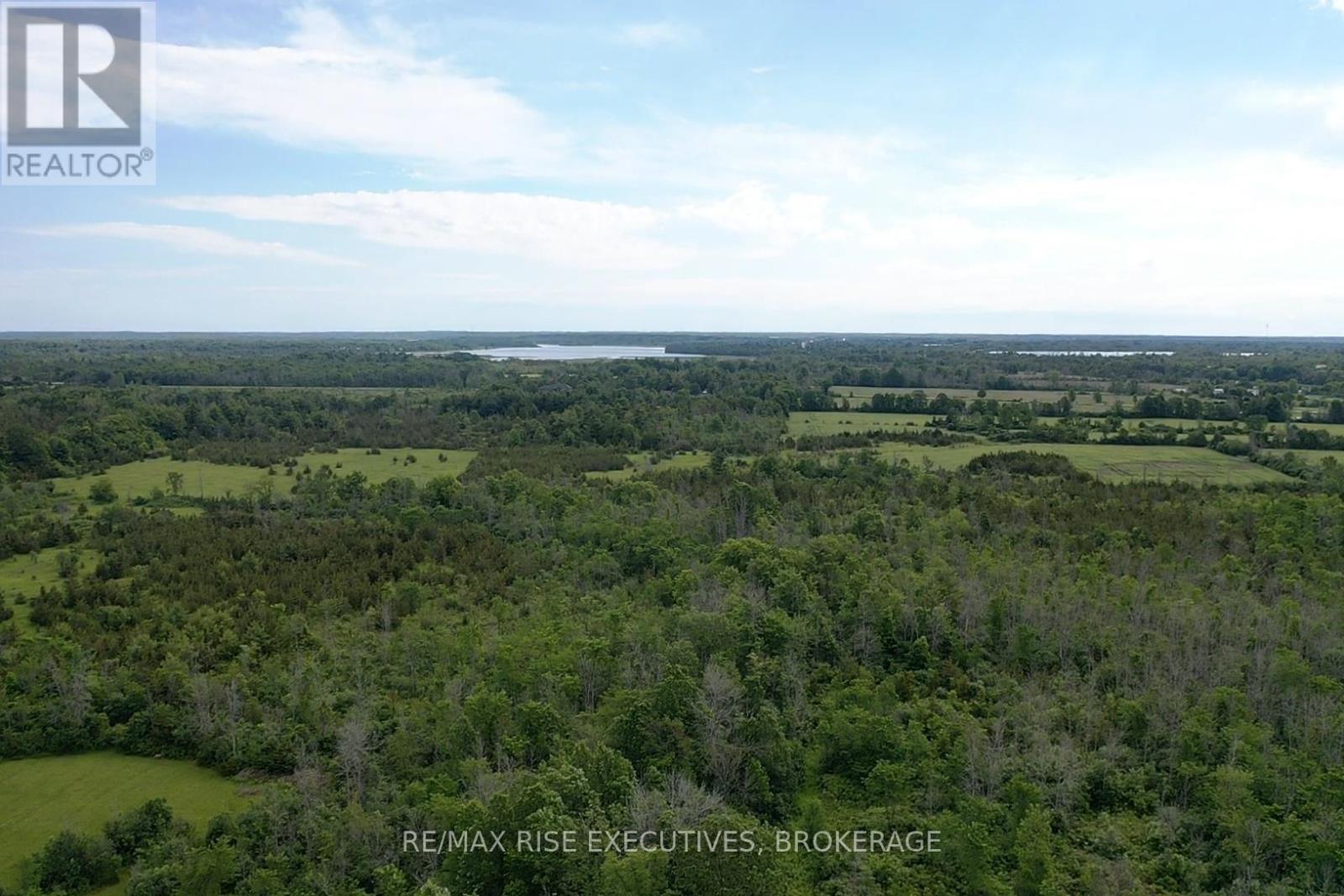 1337 Old Wilton Road, Loyalist, Ontario  K0H 2H0 - Photo 9 - X13452228