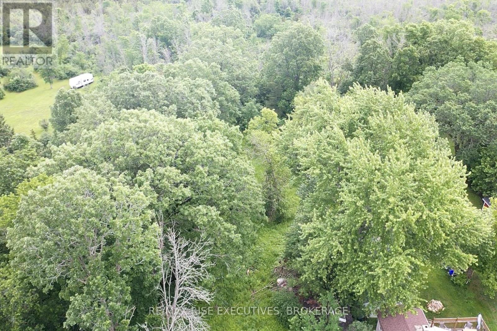 1337 Old Wilton Road, Loyalist, Ontario  K0H 2H0 - Photo 4 - X13452228