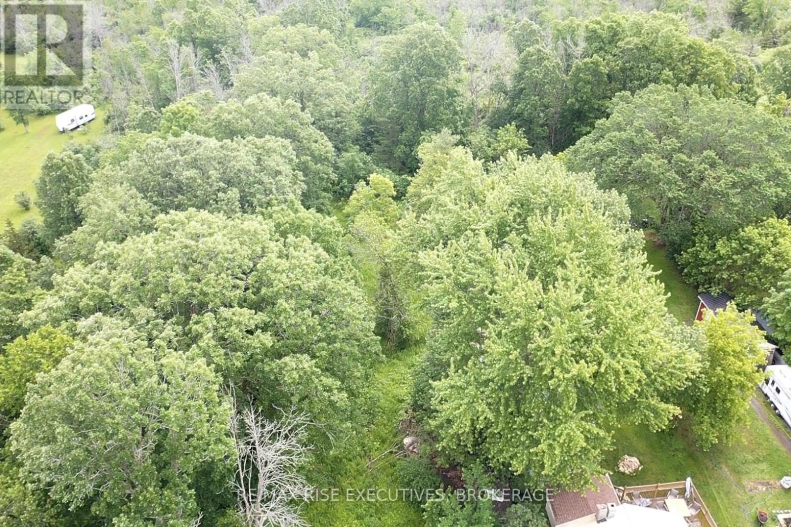 1337 Old Wilton Road, Loyalist, Ontario  K0H 2H0 - Photo 3 - X13452228