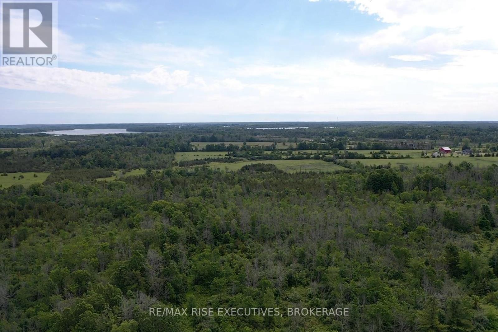 1337 Old Wilton Road, Loyalist, Ontario  K0H 2H0 - Photo 10 - X13452228