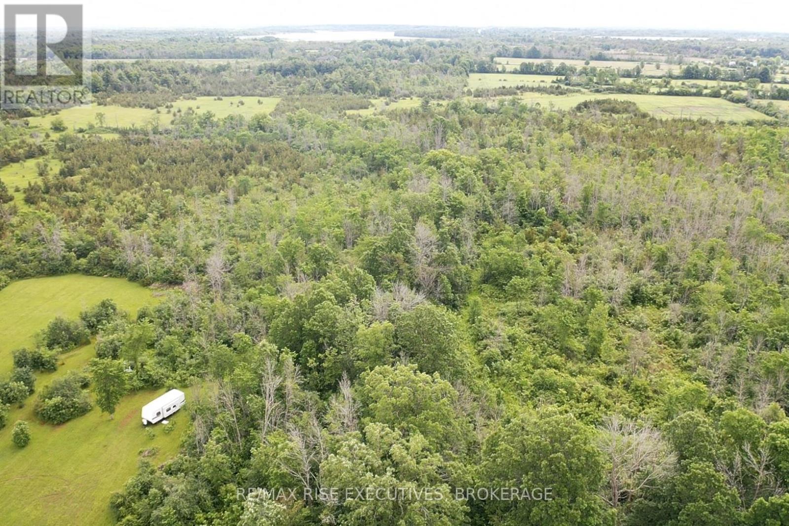 1337 Old Wilton Road, Loyalist, Ontario  K0H 2H0 - Photo 12 - X13452228