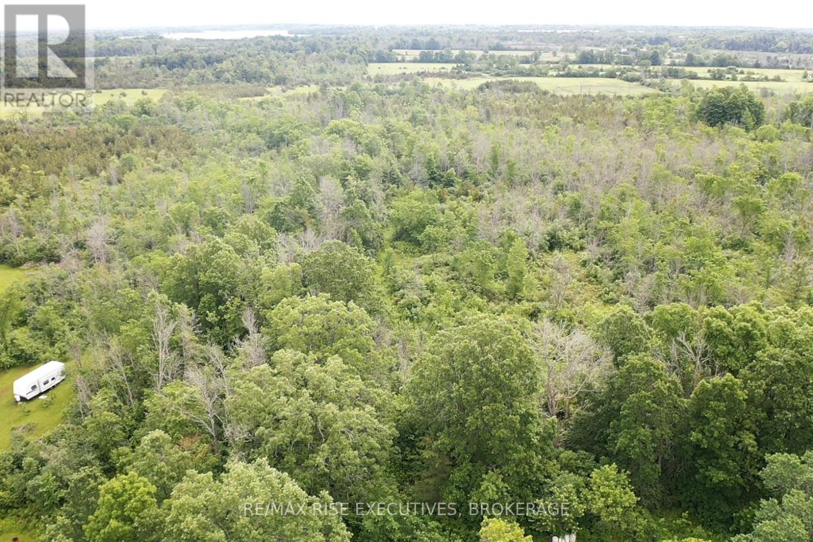 1337 Old Wilton Road, Loyalist, Ontario  K0H 2H0 - Photo 13 - X13452228