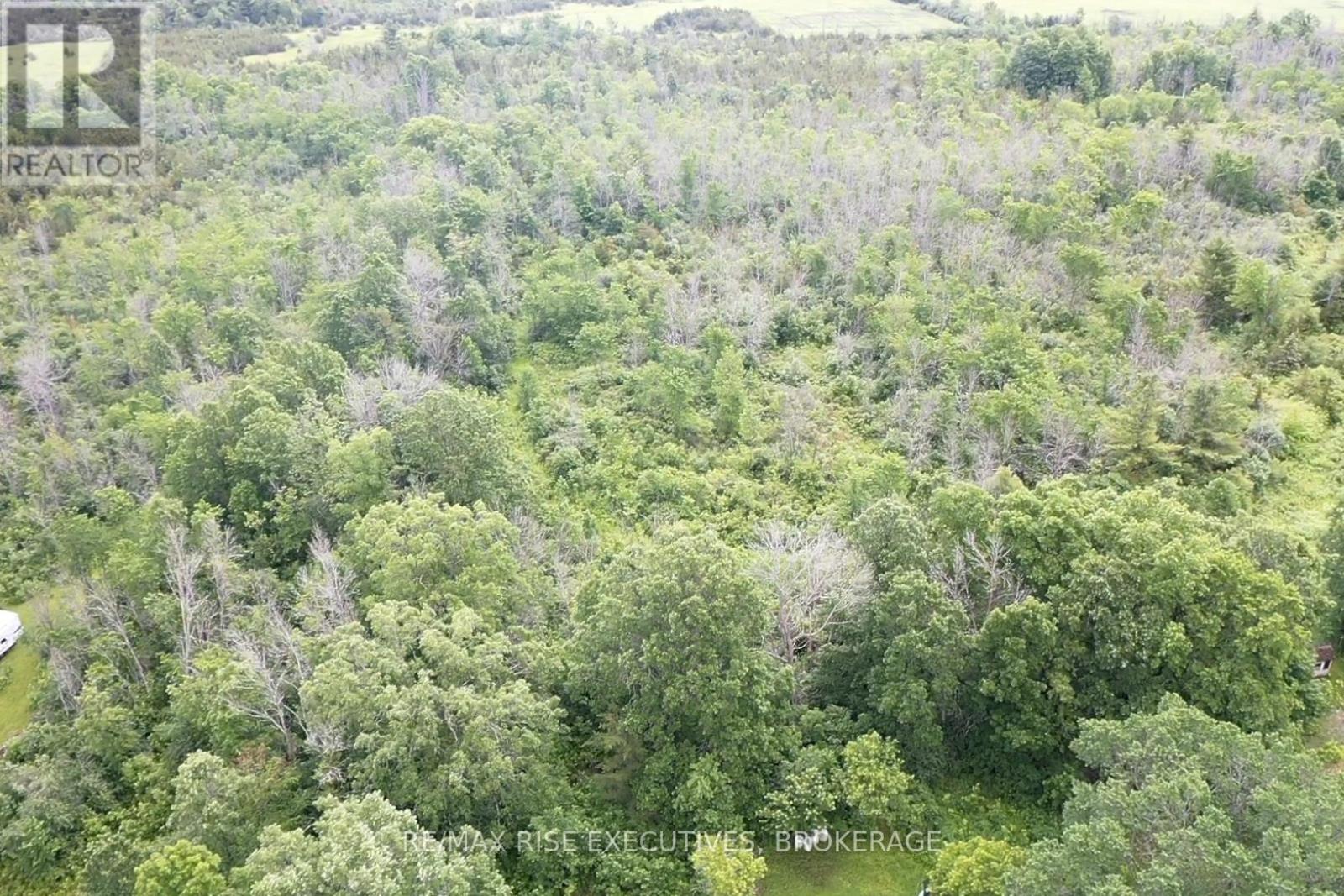 1337 Old Wilton Road, Loyalist, Ontario  K0H 2H0 - Photo 5 - X13452228