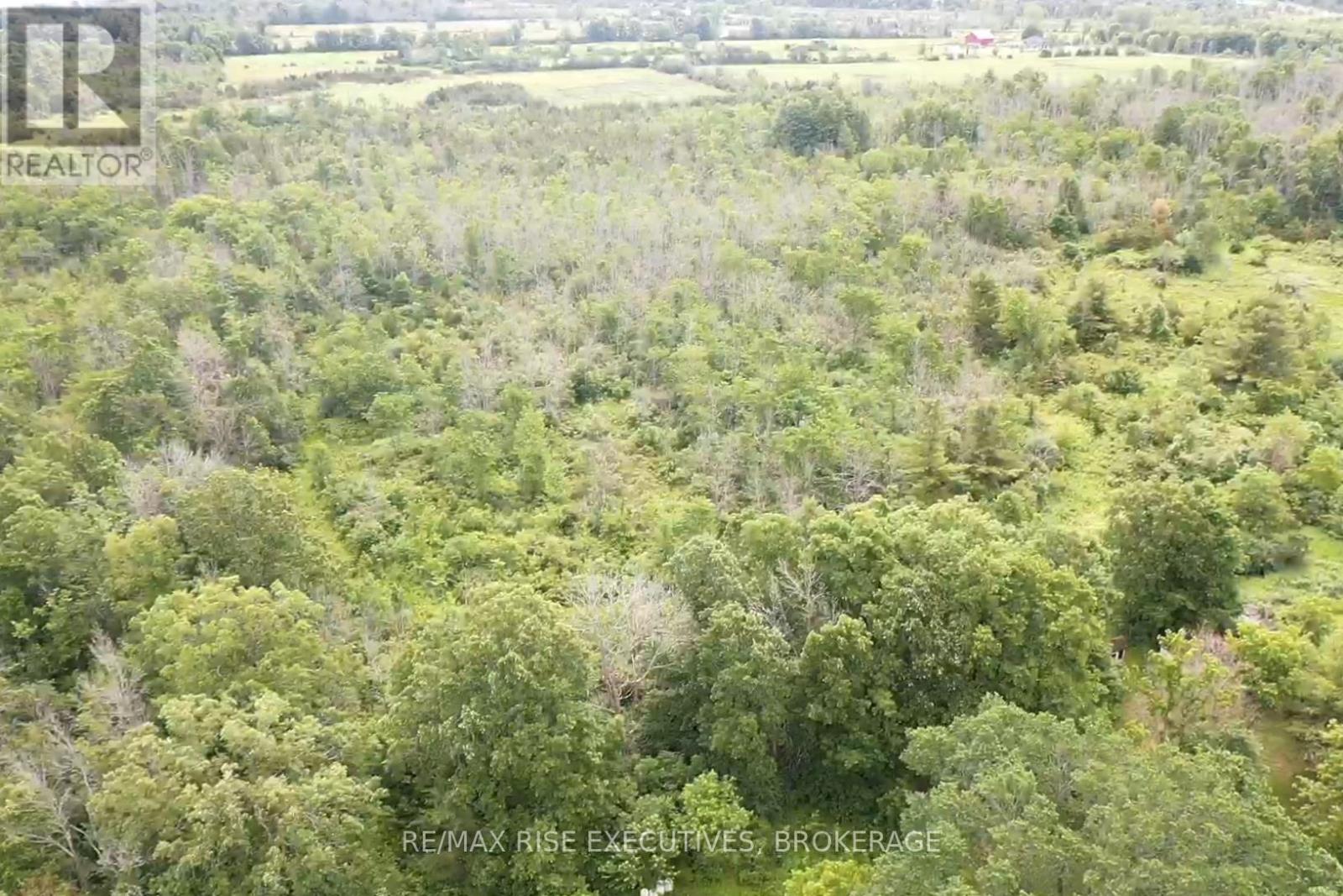 1337 Old Wilton Road, Loyalist, Ontario  K0H 2H0 - Photo 7 - X13452228