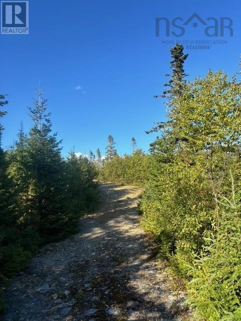Lot 2 Highway 7, Port Dufferin, Nova Scotia  B0J 2R0 - Photo 20 - 202523230