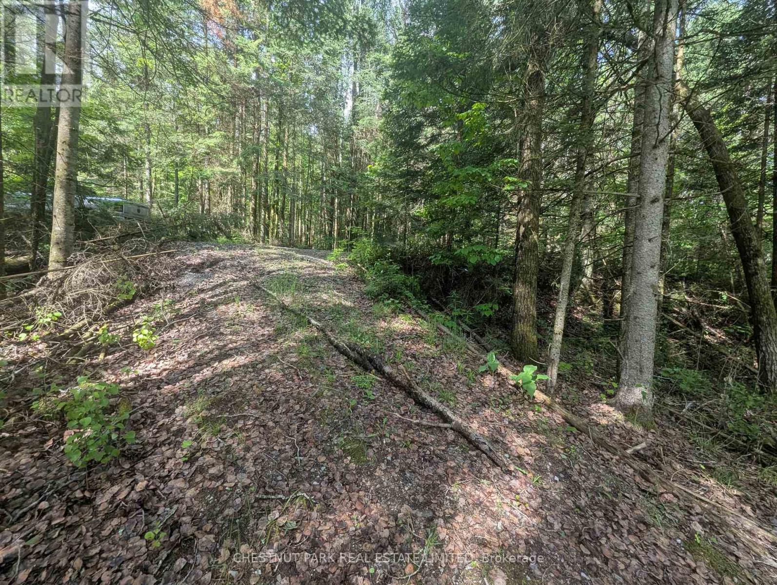 0 Highway 503 Highway, Highlands East, Ontario K0M 1S0 - Photo 3 - X13455202