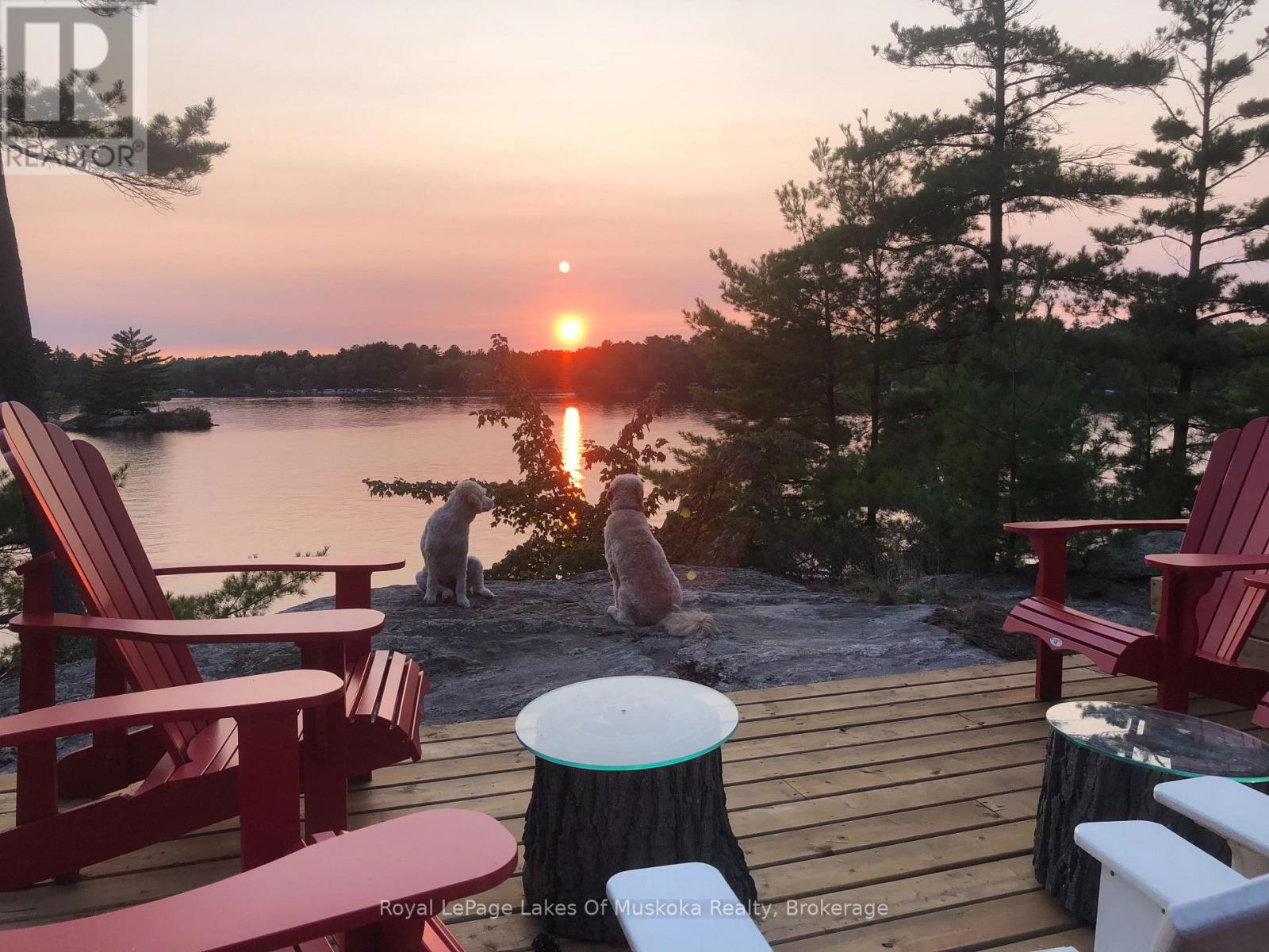 1 Island 9kl (1 Chief Island), Gravenhurst, Ontario  P0E 1G0 - Photo 43 - X13455552