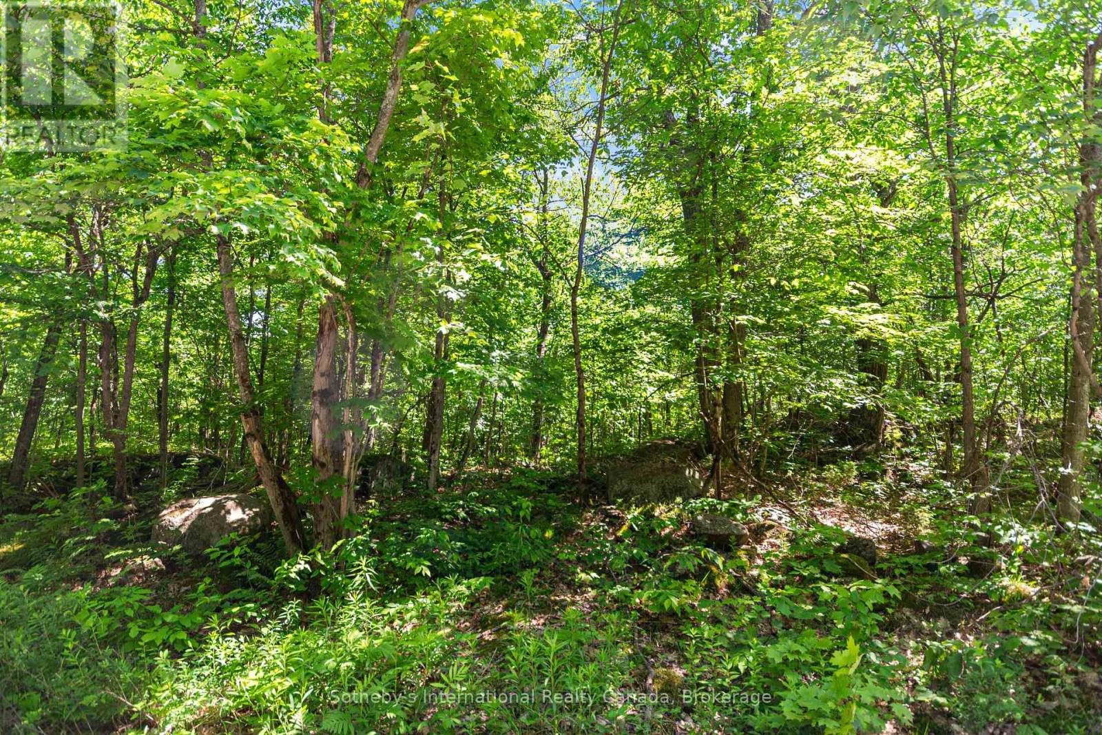 43 Burnside Bridge Road, Mcdougall, Ontario  P2A 2W9 - Photo 6 - X13455572