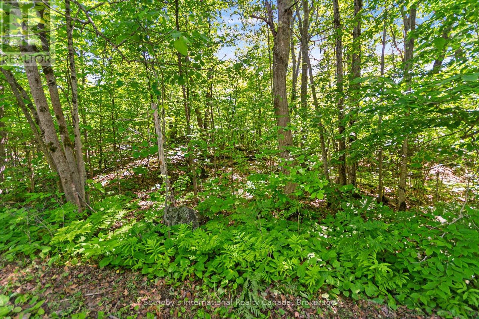 43 Burnside Bridge Road, Mcdougall, Ontario  P2A 2W9 - Photo 8 - X13455572