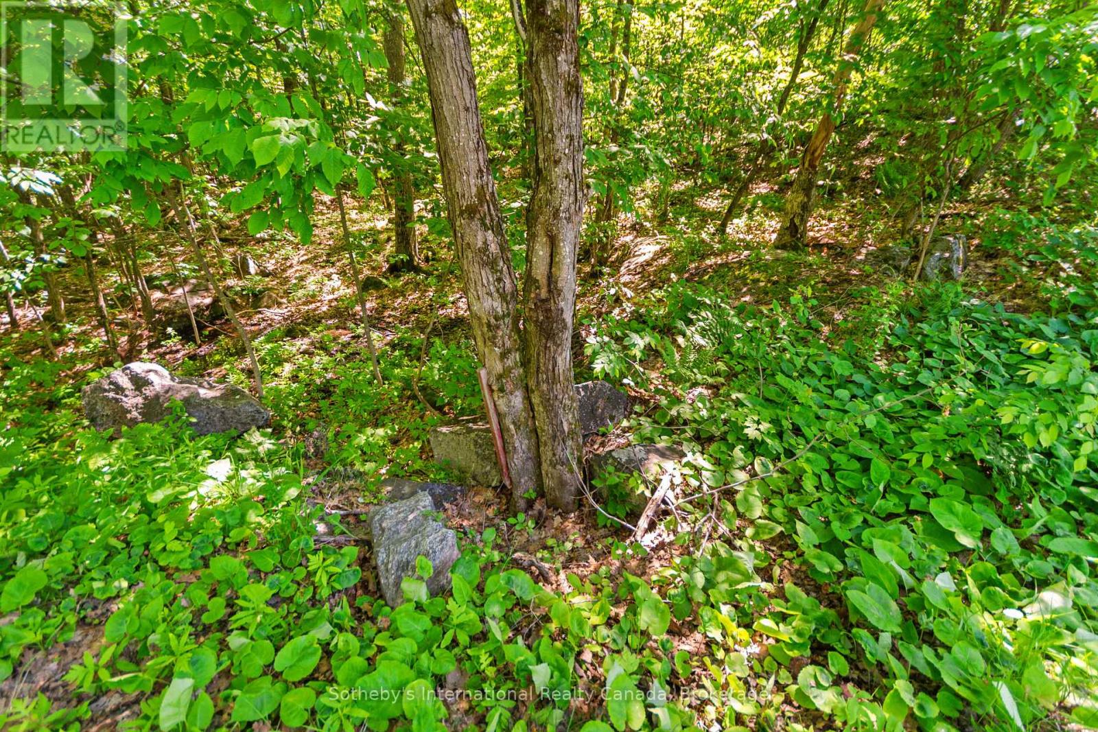 43 Burnside Bridge Road, Mcdougall, Ontario  P2A 2W9 - Photo 9 - X13455572