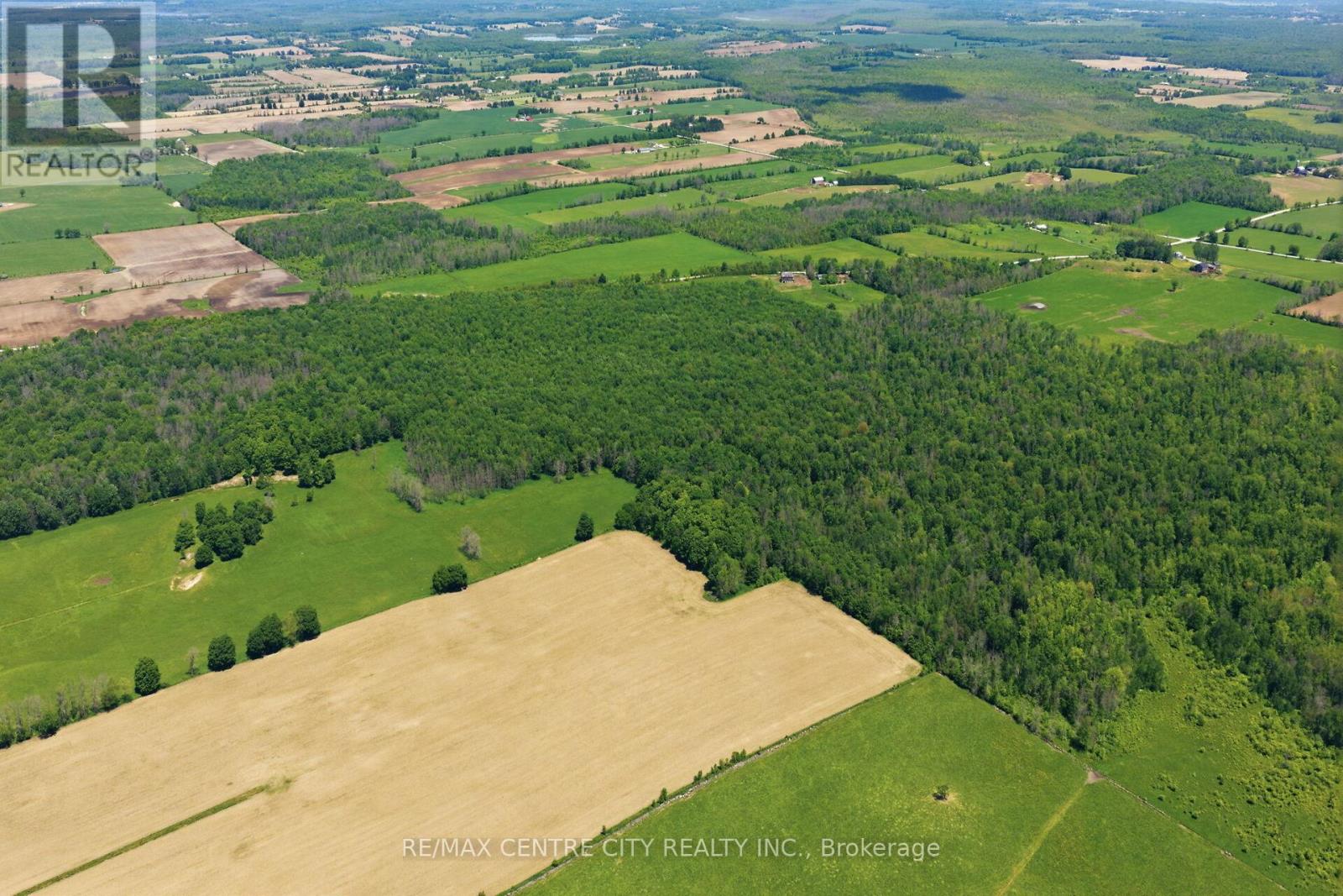 17513 Grey Bruce Line, Georgian Bluffs, Ontario N0H 2N0 - Photo 12 - X13455426