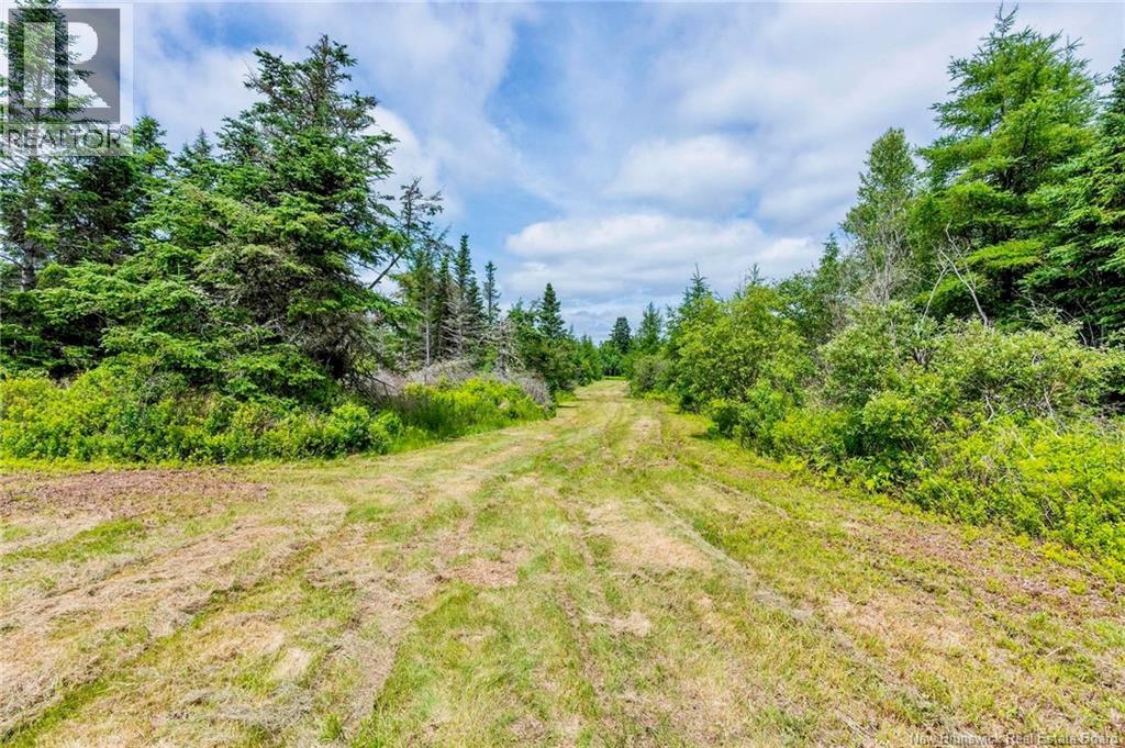 2041 Route 960, Upper Cape, New Brunswick  E4L 1X7 - Photo 44 - NB142105