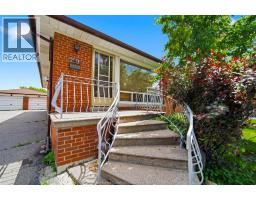 29 FERNANDO, Toronto, Ontario