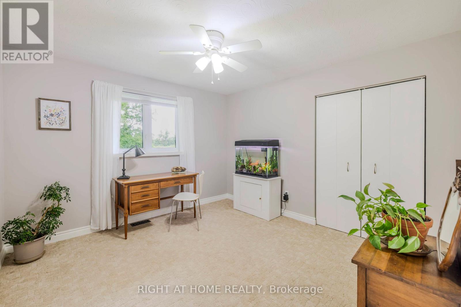 35 Macmillan Road, Centre Hastings, Ontario K0K 2K0 - Photo 23 - X13455550