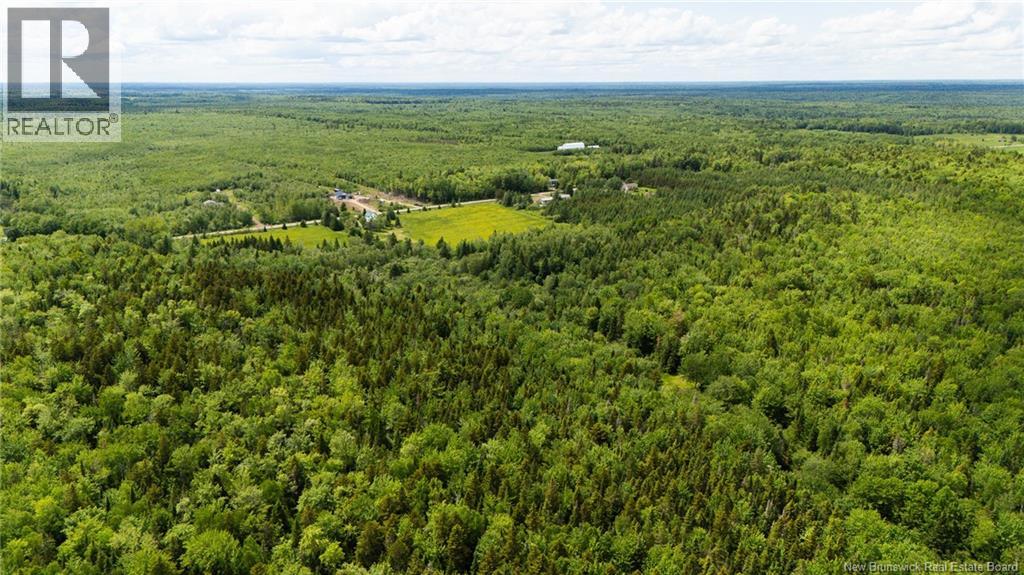 2775 Route 490, Mcquade, New Brunswick  E1G 3J5 - Photo 6 - NB142048