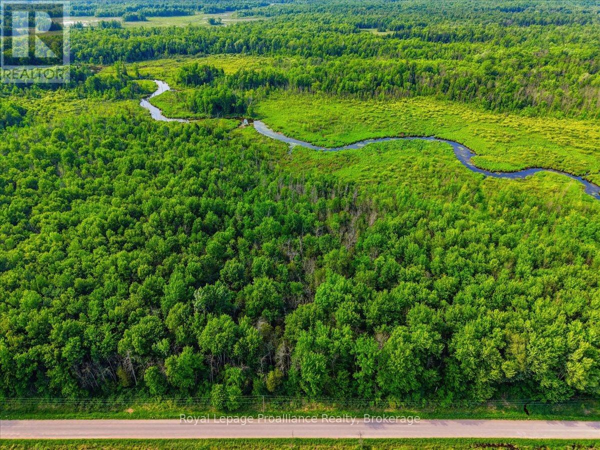 1539 E Hungerford Road, Tweed, Ontario  K0K 3J0 - Photo 47 - X13456180