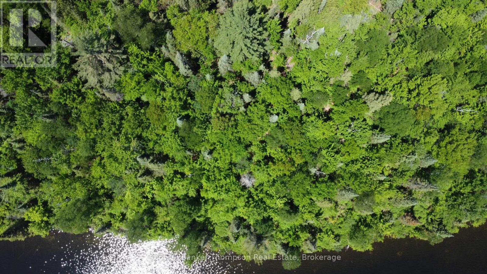 0 Beaver Lane, Nipissing, Ontario  P0H 1W0 - Photo 18 - X12825848